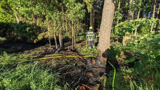 Foto zum Einsatz: Waldbrand / 16.05.2024