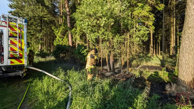 Foto zum Einsatz: Waldbrand / 16.05.2024