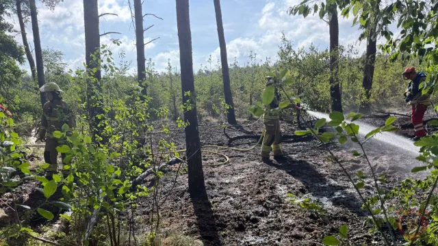 Foto zum Einsatz: Waldbrand Fladderlohausen / 21.05.2025