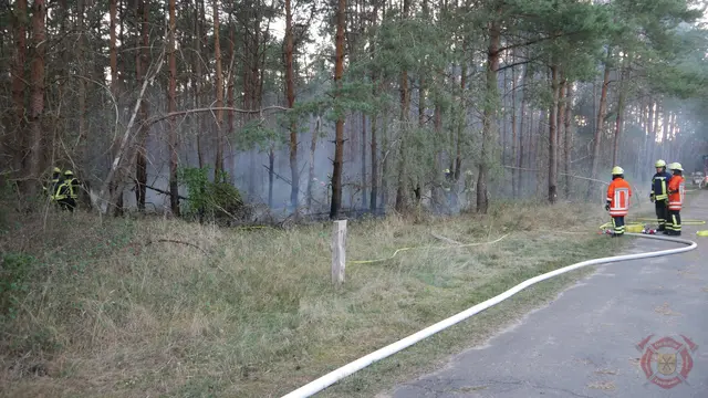 Foto zum Einsatz: 5 Einsätze in 12 Stunden / 12.08.2022