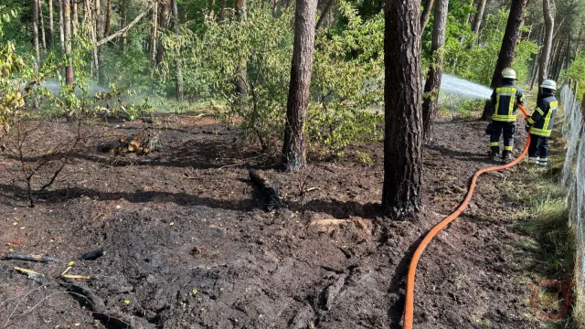 Foto zum Einsatz: Waldbrand Fladderlohausen / 21.05.2025