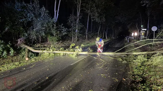 Foto zum Einsatz: Vier Einsätze am Wochenende / 24. & 25.10.2026
