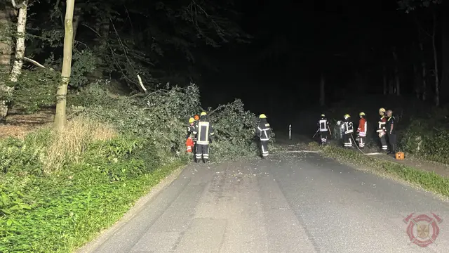 Foto zum Einsatz: 5 Einsätze in 12 Stunden / 12.08.2022