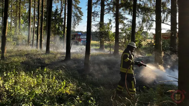 Foto zum Einsatz: Waldbrand / 16.05.2024