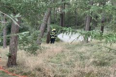 2022-07-05_Uebung_Waldbrand_02