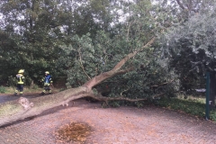 Baum auf Fahrbahn_2018-09-21_02