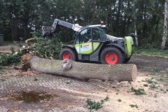 Baum auf Fahrbahn_2018-09-21_04