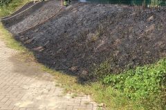 2022-07-20_Flaechenbraende_05
