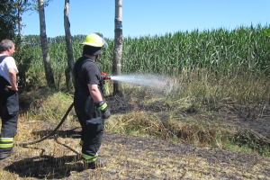 Flächenbrand Dinklage 02.07.18 
