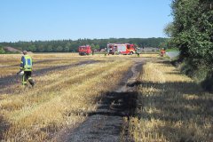 Flächenbrand_Dinklage_03