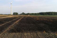 Flächenbrand_Gehrde_3