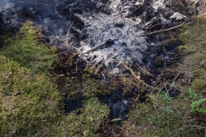 Flächenbrand im Wald / 28.05.2020