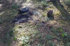 Flächenbrand_28-05-2020_02