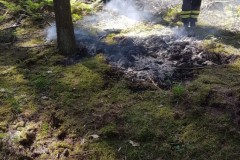 Flächenbrand_28-05-2020_03