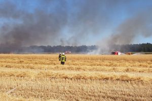 Flächenbrand Langenberg 23.07.19