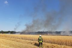 Flächenbrand_02