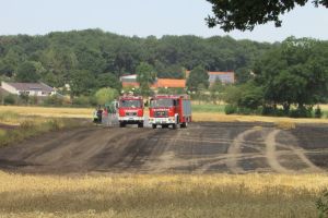 Flächenbrand Neuenkirchen / 26.07.19