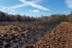 Moorbrand-Goldenstedt_02