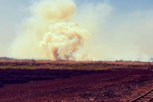 Moorbrand Südlohne 21.04.2020