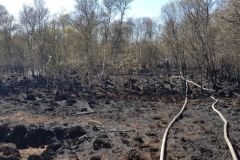 Moorbrand_Südlohne_08