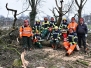 Motorsägenlehrgang Februar 2018