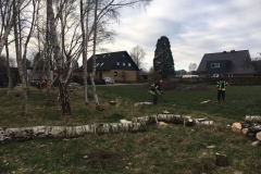 Lehrgang_Motorsäge_15