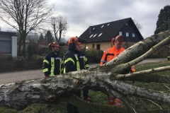 Lehrgang_Motorsäge_19