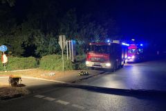 Brand_Vörden_05