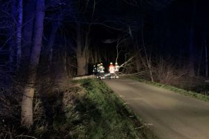 Sturmeinsätze / 16.02.2020