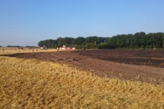 Foto_07