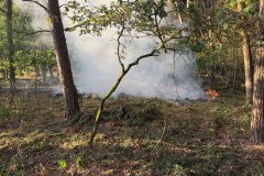 2026-08-09_Waldbrand_001
