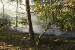 2026-08-09_Waldbrand_002