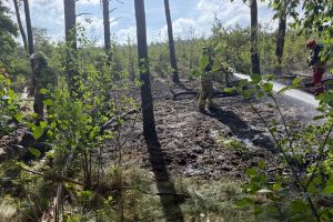 Waldbrand / 21.05.2025
