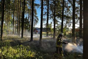 Waldbrand Gramke / 16.05.2024