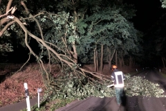 TH_Baum auf Fahrbahn