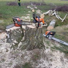 Motorsägenlehrgang Februar 2018