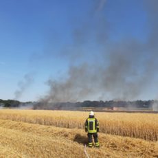 Wald- und Flächenbrand / 23.07.2019