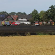 Flächenbrand Neuenkirchen / 26.07.2019