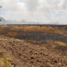 VU mit Flächenbrand (Gehrde) / 03.07.2019