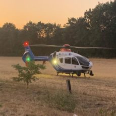 Waldbrand – alte Brandstelle / 24.07.2019