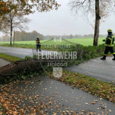 Fehlalarme und Baum auf Fahrbahn / 25.11.19