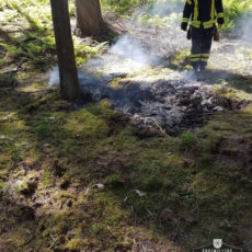 Flächenbrand im Wald / 28.05.2020