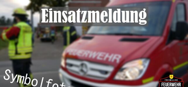 Unterstützung Rettungsdienst & BMA / 30.12.2023