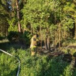 Waldbrand Gramke / 16.05.2024