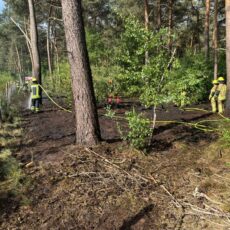 Waldbrand Fladderlohausen / 21.05.2025