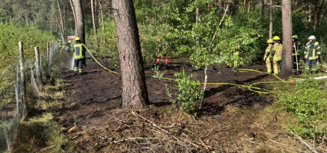 Waldbrand Fladderlohausen / 21.05.2025